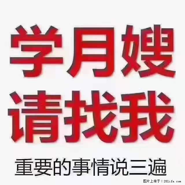 为什么要学习月嫂，育婴师？ - 其他广告 - 广告专区 - 百色分类信息 - 百色28生活网 baise.28life.net