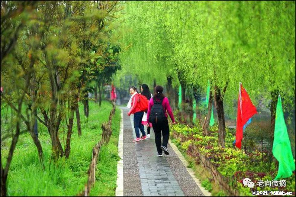 【春天,广西桂林灌阳县向您发出邀请!】江口老街又逢春 - 游山玩水 - 百色生活社区 - 百色28生活网 baise.28life.net