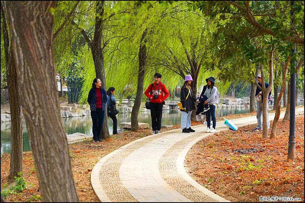 【春天,广西桂林灌阳县向您发出邀请!】江口老街又逢春 - 游山玩水 - 百色生活社区 - 百色28生活网 baise.28life.net