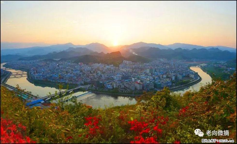 【春天，广西桂林灌阳县向您发出邀请！】登麒麟山，相约映山红 - 游山玩水 - 百色生活社区 - 百色28生活网 baise.28life.net