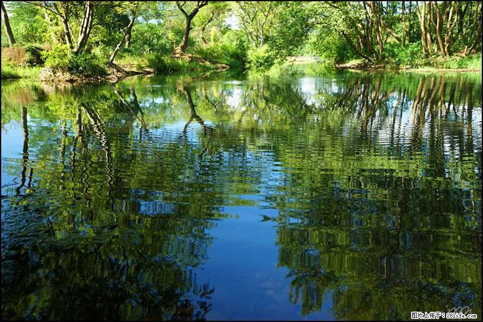 【春天，广西桂林灌阳县向您发出邀请！】熊家寨湿地公园 - 游山玩水 - 百色生活社区 - 百色28生活网 baise.28life.net