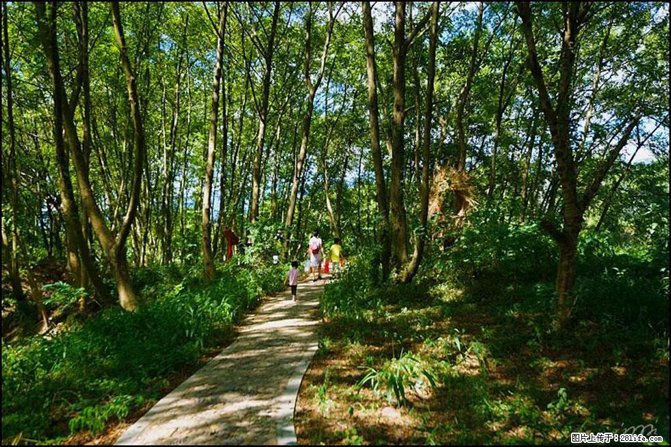 【春天，广西桂林灌阳县向您发出邀请！】熊家寨湿地公园 - 游山玩水 - 百色生活社区 - 百色28生活网 baise.28life.net