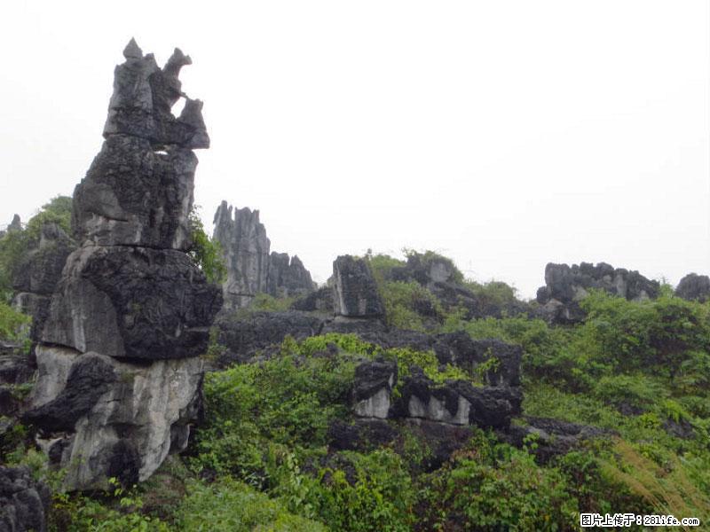 桂林旅游名城景点：灌阳文市石林 - 游山玩水 - 百色生活社区 - 百色28生活网 baise.28life.net