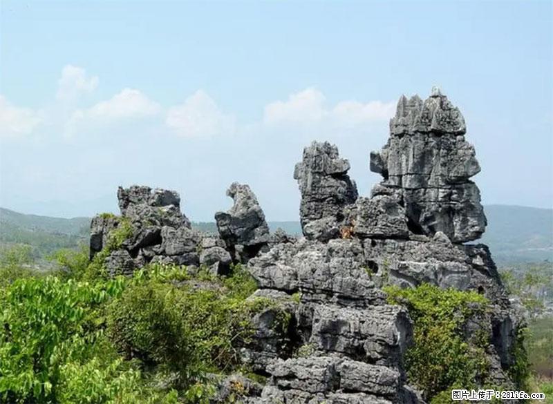 桂林旅游名城景点：灌阳文市石林 - 游山玩水 - 百色生活社区 - 百色28生活网 baise.28life.net