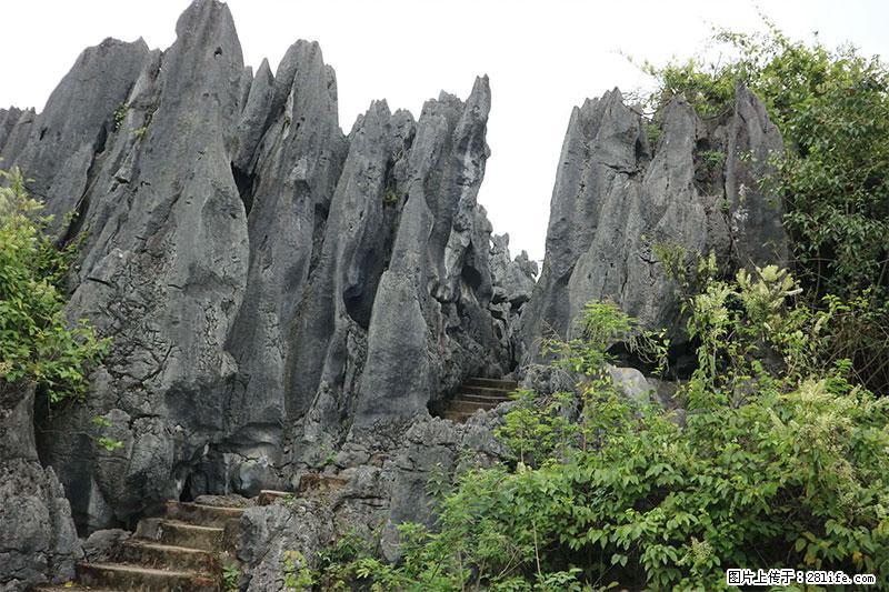 桂林旅游名城景点：灌阳文市石林 - 游山玩水 - 百色生活社区 - 百色28生活网 baise.28life.net
