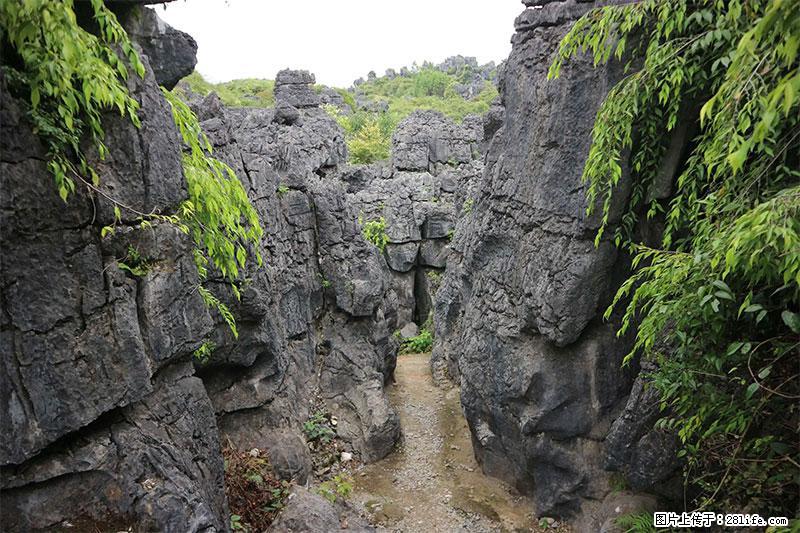 桂林旅游名城景点：灌阳文市石林 - 游山玩水 - 百色生活社区 - 百色28生活网 baise.28life.net