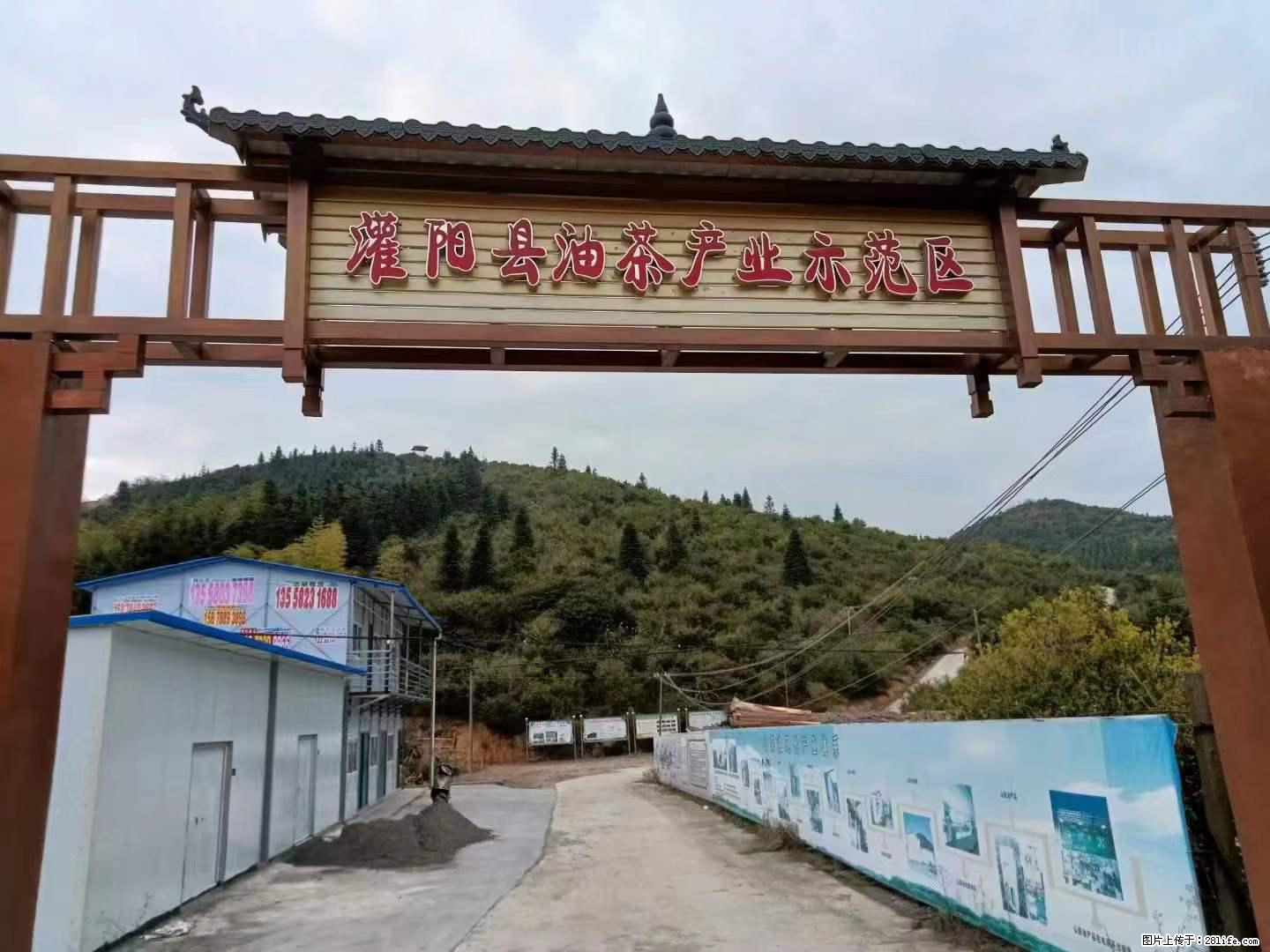 【灌阳县油茶产业示范区】一个有着充实的精神生活的人,对待身外之物自会有一种淡泊的态度 - 土特产 - 饮食特产 - 百色分类信息 - 百色28生活网 baise.28life.net