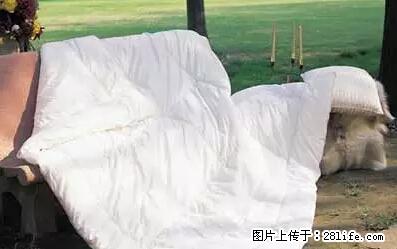 被子有异味？只要这样做，比晒太阳还强100倍！ - 家居生活 - 百色生活社区 - 百色28生活网 baise.28life.net