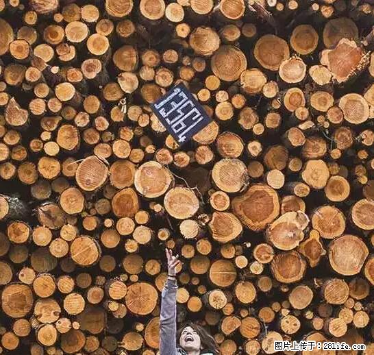 辞掉工作周游世界？现在他们在洗厕所…… - 游山玩水 - 百色生活社区 - 百色28生活网 baise.28life.net