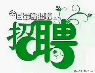 【招聘摄像师】待遇：试用期6000元/月，转正7000元/月+五险一金+餐补+节日福利+奖金 - 百色28生活网 baise.28life.net