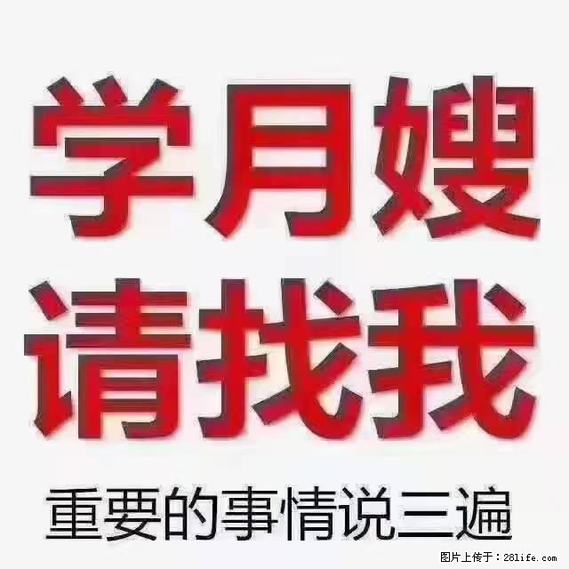 【招聘】月嫂，上海徐汇区 - 职场交流 - 百色生活社区 - 百色28生活网 baise.28life.net