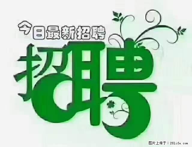 上海青浦区招仓管 - 职场交流 - 百色生活社区 - 百色28生活网 baise.28life.net