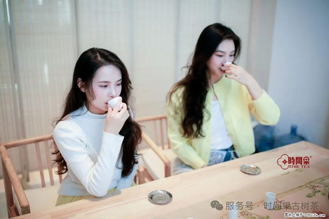 时间果百年古树龙珠普洱生茶 - 购物交流 - 百色生活社区 - 百色28生活网 baise.28life.net