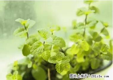 晕车、脚气、牙齿变黄、皮肤粗糙？学会这些三分钟搞定！ - 百色生活资讯 - 百色28生活网 baise.28life.net