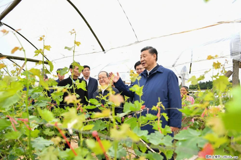 习近平赴广西考察调研 - 百色生活资讯 - 百色28生活网 baise.28life.net