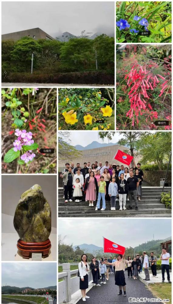 “粤灌文化 美好生活”油茶文化主题活动在广东深圳成功举办 - 百色生活资讯 - 百色28生活网 baise.28life.net