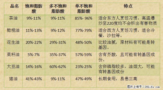揭秘茶油的5大核心营养成分！被称为人体健康的“守护盾”！ - 百色生活资讯 - 百色28生活网 baise.28life.net
