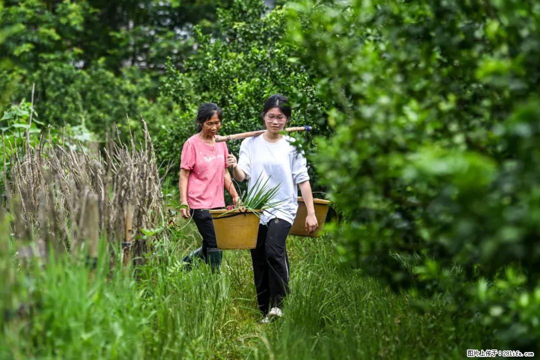 全网追的“扁担女孩”，找了一份暑假工，时薪12元 - 百色生活资讯 - 百色28生活网 baise.28life.net