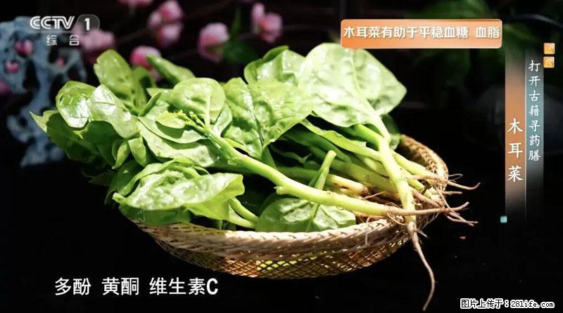 比牛奶补钙还厉害！凉血解毒、稳血糖...这菜冬天必吃，很多人却当草 - 百色生活资讯 - 百色28生活网 baise.28life.net