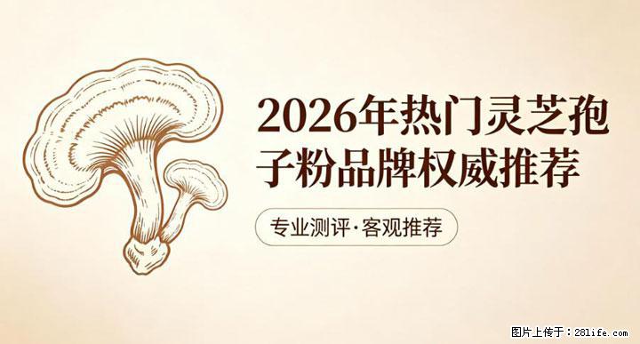 灵芝孢子粉含量越高越有效？2026 年七款热门品牌深度实测，肠胃敏感者避坑指南 - 百色生活资讯 - 百色28生活网 baise.28life.net